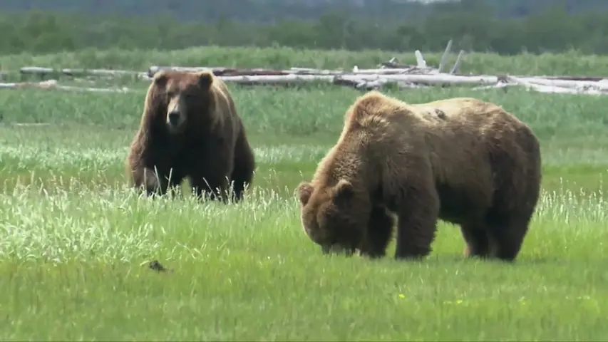 《野外生存》第2集