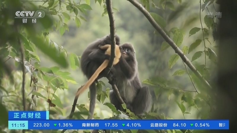 正点财经 《正点财经》 20221219 11:00