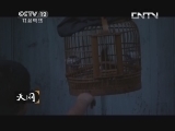 天网 《天网》 20130829 “盗梦”空间