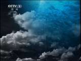人与自然 《人与自然》 20110607 自然发现——利嘴钢牙