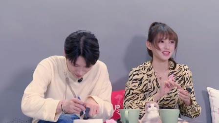 了不起！舞社 会员版：愿赌服输！程潇为撸猫变身舞社“最强铲屎官”