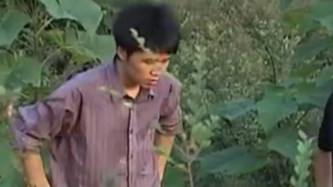 经典传奇 意外之财从天而降 是福还是祸