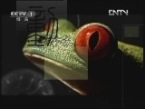 动物世界 《动物世界》 20120718