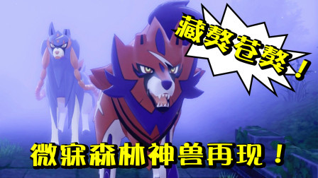 酷爱精灵宝可梦 第一季 微寐森林神兽再次出没！这次剑神和盾神同时现身！