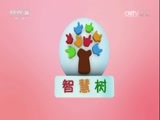 智慧树 《智慧树》 20170719