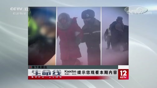 生命线 《生命线》 20191231