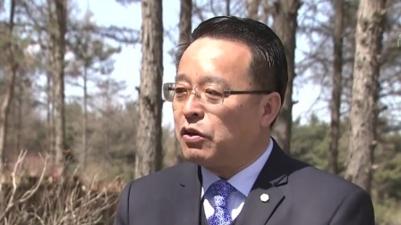 第一时间 清明小长假大连兴起蘑菇采摘热