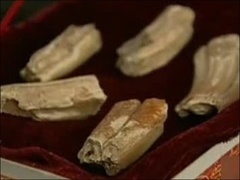 经典传奇 中国诡异事件大追踪-龙骨疑云