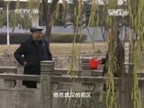走近科学 《走近科学》 20150715 爱吃垃圾的虫子