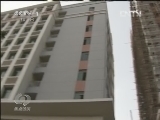 焦点访谈 《焦点访谈》 20130103 强栽“摇钱树” 究竟为了谁？