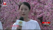 我爱桃花源 女选手不顾形象疯狂摇摆