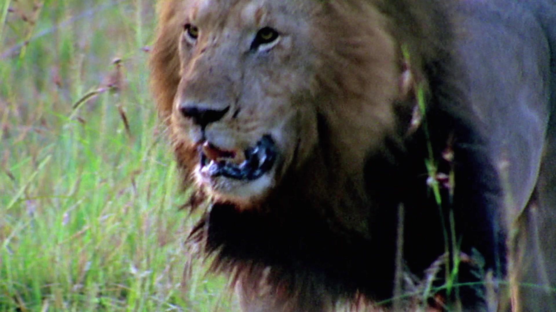 奇形怪物第一季 第3集