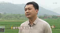 致富经 [致富经]改个毛病 年入千万 20180817