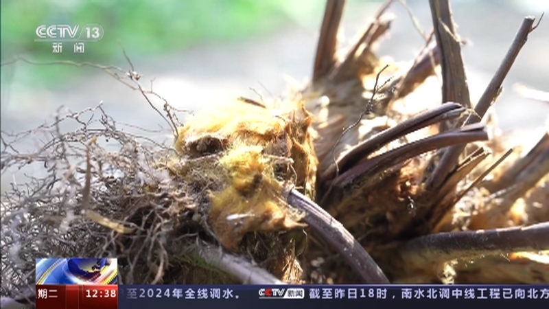 法治在线 《法治在线》 20231114