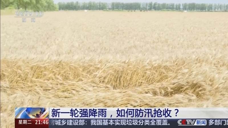 新闻1+1 《新闻1+1》 20260526 新一轮强降雨，如何防汛抢收？