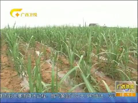 广西新闻 《广西新闻》 20140523