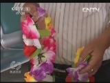焦点访谈 《焦点访谈》 20130919 四代人的寻找
