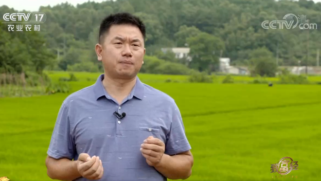 致富经 《致富经》 20201001 亮出底牌巧卖蛋