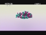 智慧树 《智慧树》 20140402