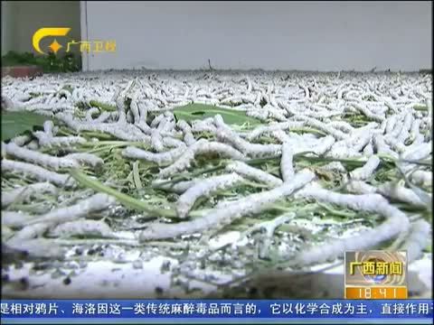 广西新闻 《广西新闻》 20141219