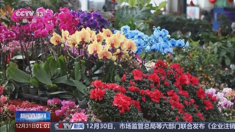 新闻直播间 《新闻直播间》 20251231 01:00
