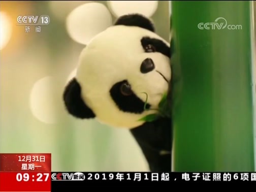 新闻直播间 《新闻直播间》 20181231 09:00