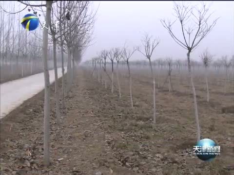 天津新闻 《天津新闻》 20151213