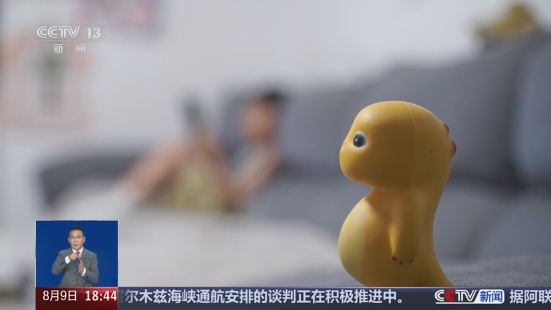 共同关注 《共同关注》 20260809