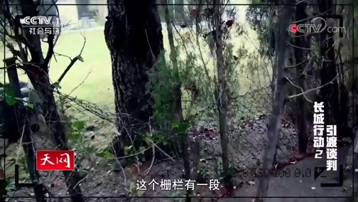 天网 《天网》 20200326 长城行动 第二集 引渡谈判