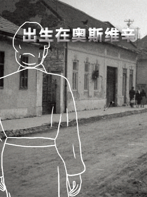 出生在奥斯维辛 海报