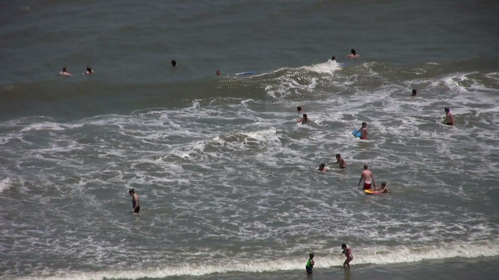 直击鲨鱼攻击第四季 第4集