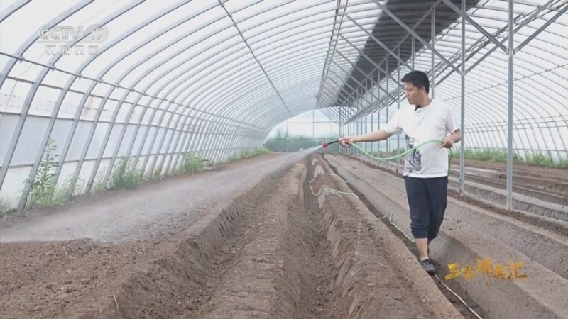 《三农群英汇》 20251130 “头雁”带富路——新农沃野种未来