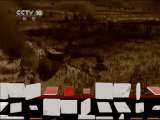 百家讲坛 《百家讲坛》 20110709 隋唐英雄志 （二） 乱世机缘