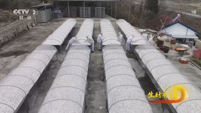 《生财有道》 20260112 洪山寻宝 柴葛生金