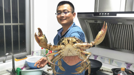 思乡渔夫赶海 渔夫走狗屎运了，脸盆大的“蟹王”，一抓就是2只！