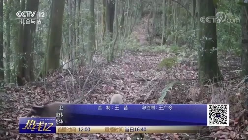 热线12 《热线12》 20190128