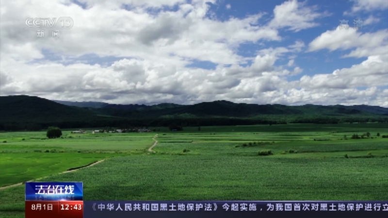 法治在线 《法治在线》 20220801