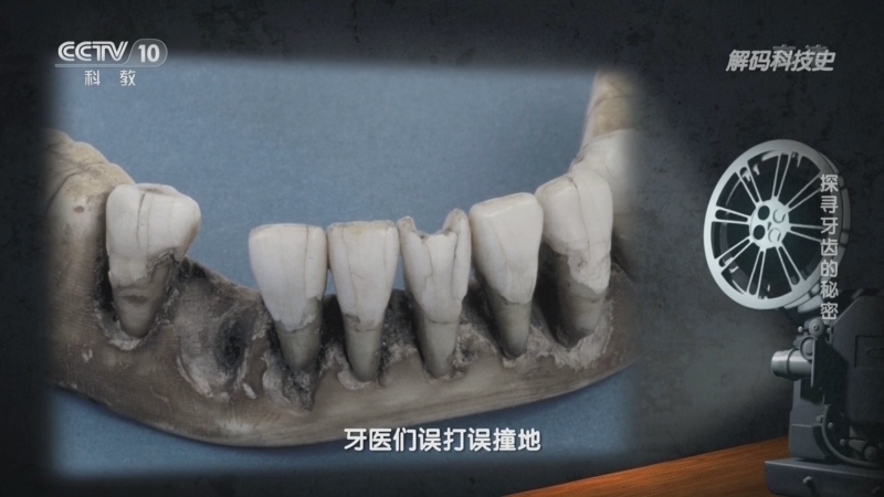 解码科技史 《解码科技史》 20220922 探寻牙齿的秘密