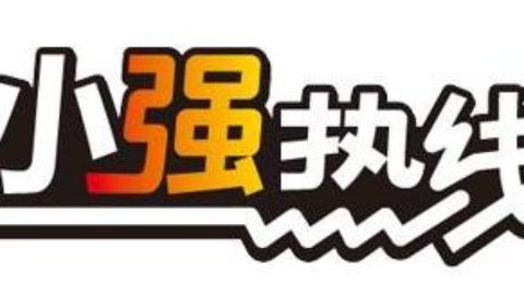 小强热线 小强热线20150310