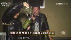 致富经 [致富经]螃蟹进棚 凭啥3个月净赚500多万元 20161220
