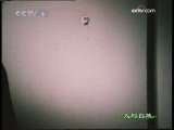 人与自然 自然启示 夜间来访者