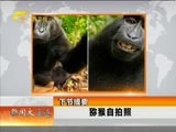新闻夜总汇 《新闻大通道》 20160109