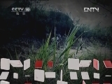 地理中国 《地理中国》 20120612 系列节目《秘境零距离》——巨龙现身