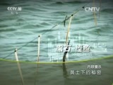 地理中国 《地理中国》 20150915 黄土下的秘密