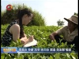 重庆新闻联播 《重庆新闻联播》 20160830