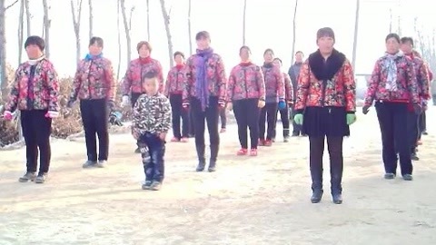糖豆广场舞精选大众舞蹈 王蓉广场舞16步《自由飞翔》