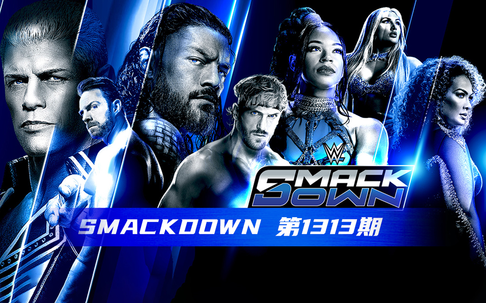 WWE 第1313期