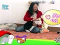 狗狗日记 第74天 乖乖来梳毛