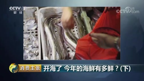 消费主张 《消费主张》 20190809 开海了 今年的海鲜有多鲜？（下）
