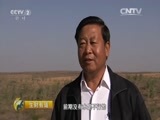 生财有道 《生财有道》 20151109 秋收系列：咱们家乡有特产——阿拉善·沙漠人参